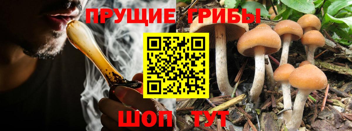 Галлюциногенные грибы мицелий Нефтеюганск